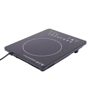 110V 750W Electric Induction Cooktop
